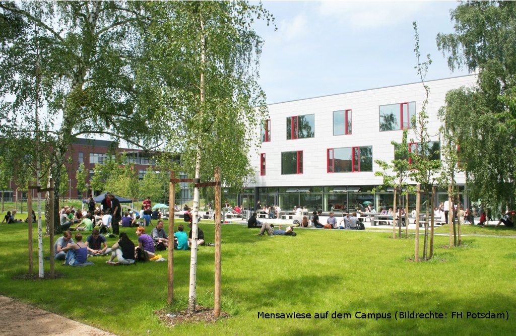 Mensawiese auf dem Campus (Bildrechte: FH Potsdam)