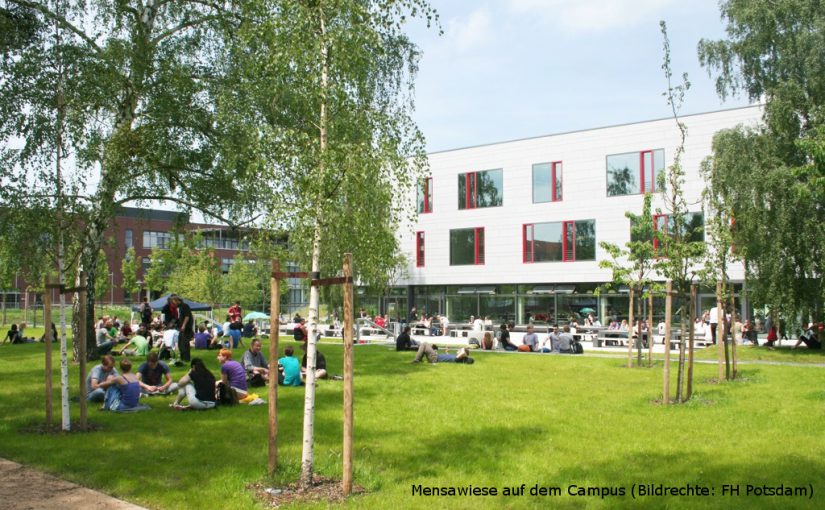 Mensawiese auf dem Campus (Bildrechte: FH Potsdam)
